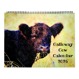 Calendrier Peinture à l'aquarelle de vache Galloway mignonne