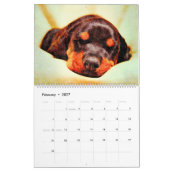 Calendrier Peinture aquarelle de chien Doberman Pinscher 12 m (Feb 2027)