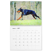 Calendrier Peinture aquarelle de chien Doberman Pinscher 12 m (Mar 2027)