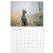 Calendrier Peinture aquarelle de chien Doberman Pinscher 12 m (Jan 2027)
