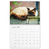 Calendrier Peinture magnifique d'aquarelle de 12 chats (Jan 2027)