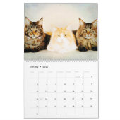 Calendrier Peintures mignonnes d'aquarelle de chats de (Jan 2027)