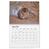 Calendrier Pekingese (Feb 2027)