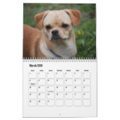 Calendrier Pekingese (Mar 2026)