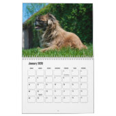 Calendrier Pekingese (Jan 2026)