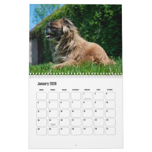 Calendrier Pekingese (Jan 2026)