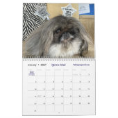 Calendrier Pékinois 2026 de Liz E. (Jan 2027)