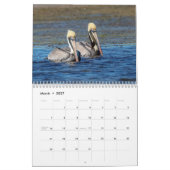 Calendrier pélican 2026 (Mar 2027)