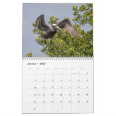 Calendrier pélican 2026 (Jan 2027)