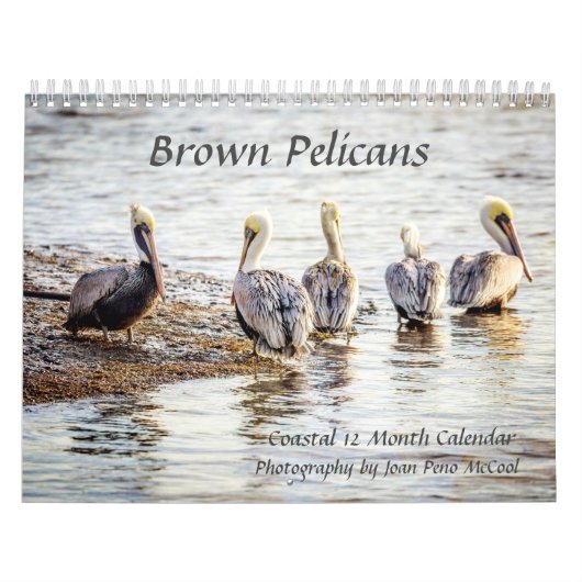 Calendrier pélican Brown (Protection)