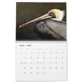 Calendrier pélican Brown (Mar 2027)