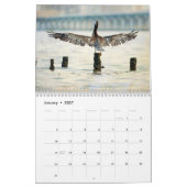 Calendrier pélican Brown (Jan 2027)