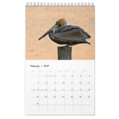 Calendrier Pélican Brown 2025 (Feb 2027)
