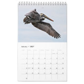 Calendrier Pélican Brown 2025 (Jan 2027)