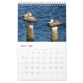 Calendrier Pélican Brown 2025 (Mar 2026)