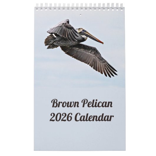 Calendrier Pélican Brown 2025 (Protection)