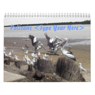 Calendrier Pélicans