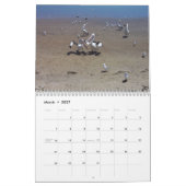 Calendrier Pélicans (Mar 2027)