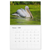 Calendrier pélicans 2023 (Feb 2026)