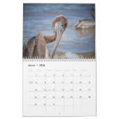 Calendrier Pelicans Bird 2025 (Mar 2026)
