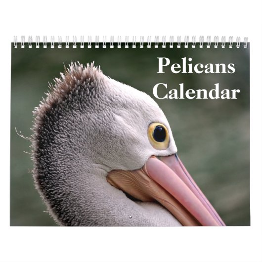 Calendrier Pelicans Bird 2025 (Protection)
