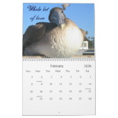 Calendrier Pelican's & Friends_2010 (Feb 2026)