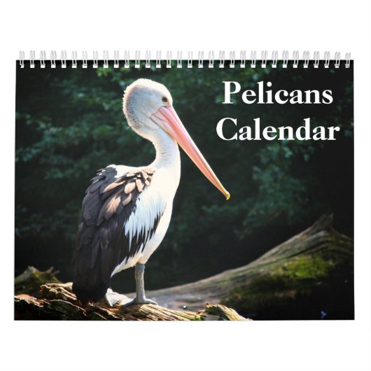 Calendrier Pélicans Oiseau 2027 (Protection)