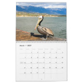 Calendrier Pélicans Oiseau 2027 (Mar 2027)