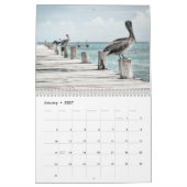 Calendrier Pélicans Oiseau 2027 (Jan 2027)