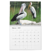 Calendrier Pélicans Oiseau 2027 (Feb 2027)