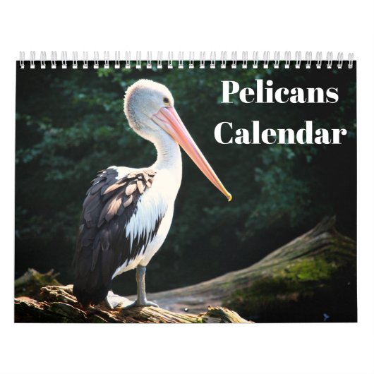 Calendrier Pélicans Oiseau 2027 (Protection)