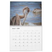 Calendrier Pélicans Oiseau 2027 (Mar 2027)
