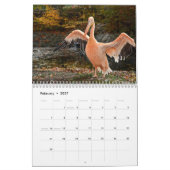 Calendrier Pélicans Oiseau 2027 (Feb 2027)