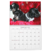 Calendrier Peluito Havanais. 2011 (Feb 2027)