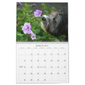 Calendrier Peluito Havanais. 2011 (Mar 2027)