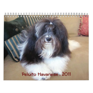 Calendrier Peluito Havanais. 2011