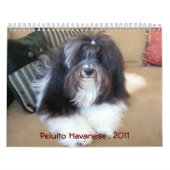 Calendrier Peluito Havanais. 2011 (Protection)