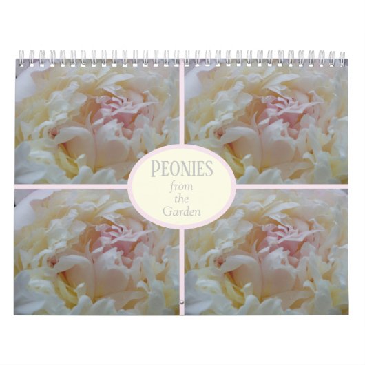 Calendrier Peonies de mon jardin (Protection)