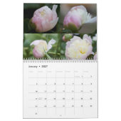 Calendrier Peonies de mon jardin (Jan 2027)