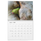 Calendrier perroquet 2026 (Mar 2027)