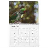Calendrier perroquet 2026 (Jan 2027)