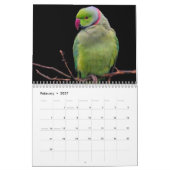 Calendrier perroquet 2026 (Feb 2027)