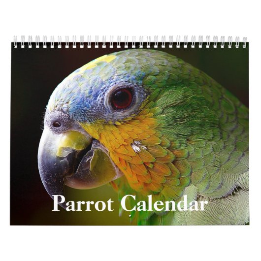 Calendrier perroquet 2027 (Protection)