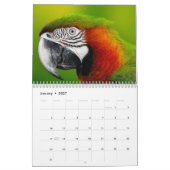 Calendrier perroquet 2027 (Jan 2027)