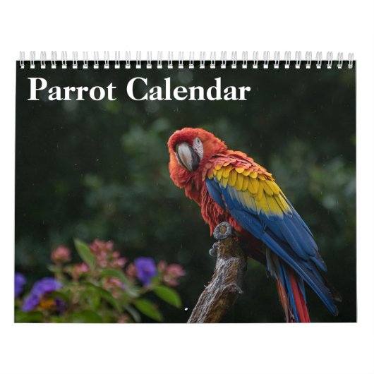 Calendrier perroquet 2027 (Protection)