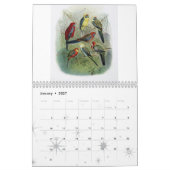 Calendrier perroquet, collection d'oiseau (Jan 2027)