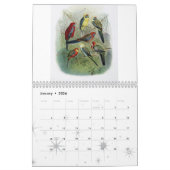 Calendrier perroquet, collection d'oiseau (Jan 2026)