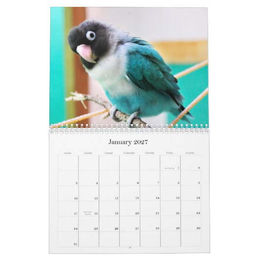 Calendrier Perruches de Penny-Pico (Jan 2027)