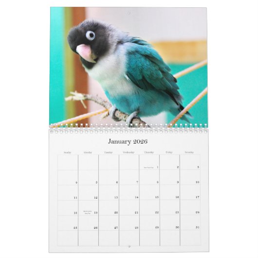 Calendrier Perruches de Penny-Pico (Jan 2026)