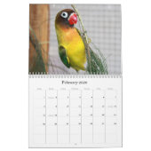 Calendrier Perruches de Penny-Pico (Feb 2026)